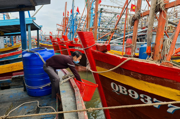 Pescadores vietnamitas participan en trabajo de protección ambiental ảnh 1 Pescadores vietnamitas participan en trabajo de protección ambiental ảnh 1