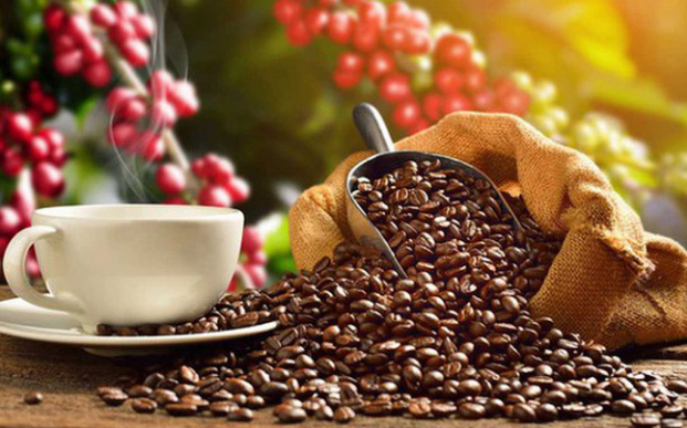 Aumentan exportaciones vietnamitas de café a Japón ảnh 1