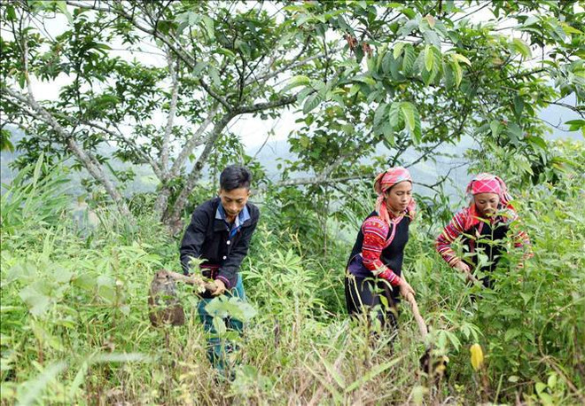 📝 Enfoque: Día de la Tierra: Vietnam ahorra energía para realizar el doble objetivo ảnh 4 📝 Enfoque: Día de la Tierra: Vietnam ahorra energía para realizar el doble objetivo ảnh 4