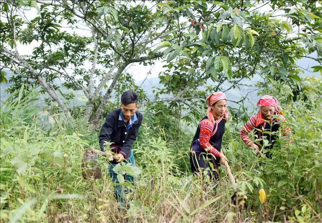 📝 Enfoque: Día de la Tierra: Vietnam ahorra energía para realizar el doble objetivo ảnh 4