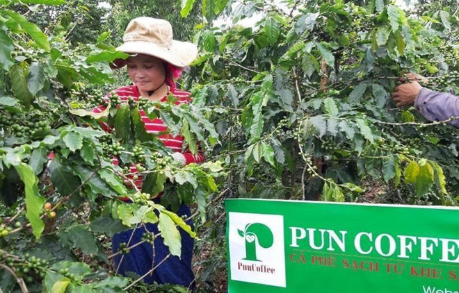 Empresas vietnamitas promueven actividades de producción y negocios en contexto de COVID-19 ảnh 1 Empresas vietnamitas promueven actividades de producción y negocios en contexto de COVID-19 ảnh 1