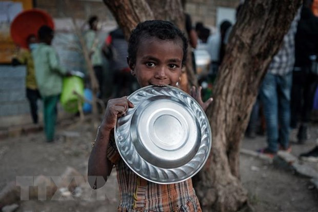 Vietnam llama a la plena observancia del derecho internacional humanitario en Etiopía ảnh 1 Vietnam llama a la plena observancia del derecho internacional humanitario en Etiopía ảnh 1