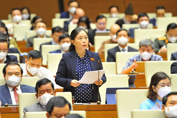 Diputados vietnamitas piden prestar mayor atención a las minorías étnicas ảnh 3