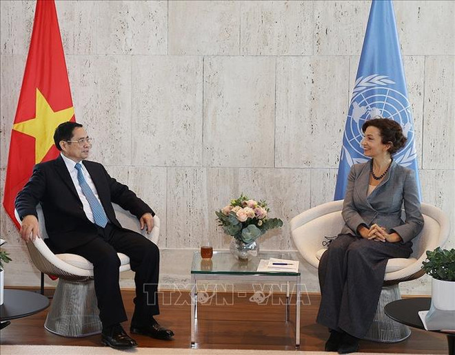 Primer ministro de Vietnam aboga por una cooperación más efectiva con UNESCO ảnh 1 Primer ministro de Vietnam aboga por una cooperación más efectiva con UNESCO ảnh 1