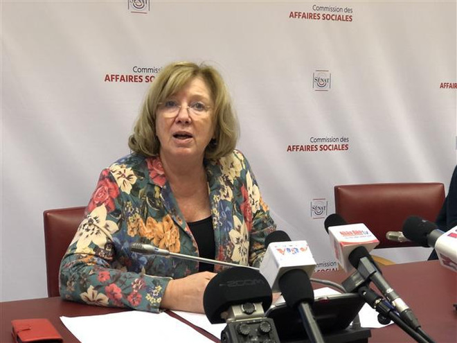 Francia otorga importancia a nexos de asociación estratégica con Vietnam ảnh 1