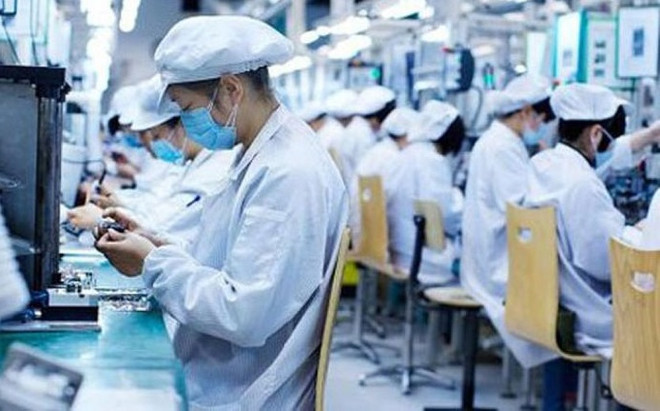 Incentivan inversiones verdes de empresas europeas en Vietnam ảnh 1 Incentivan inversiones verdes de empresas europeas en Vietnam ảnh 1