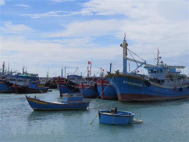 Localidades costeras en Vietnam toman medidas más estrictas contra pesca ilegal ảnh 1 Localidades costeras en Vietnam toman medidas más estrictas contra pesca ilegal ảnh 1