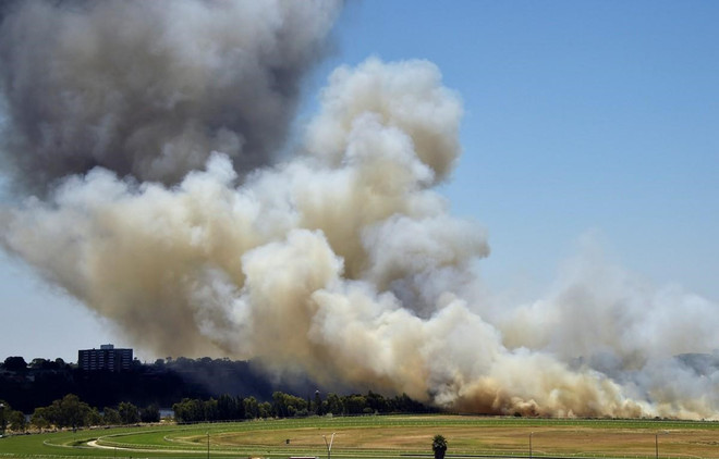 Vietnam busca establecer base de datos sobre emisiones de gases de efecto invernadero ảnh 1