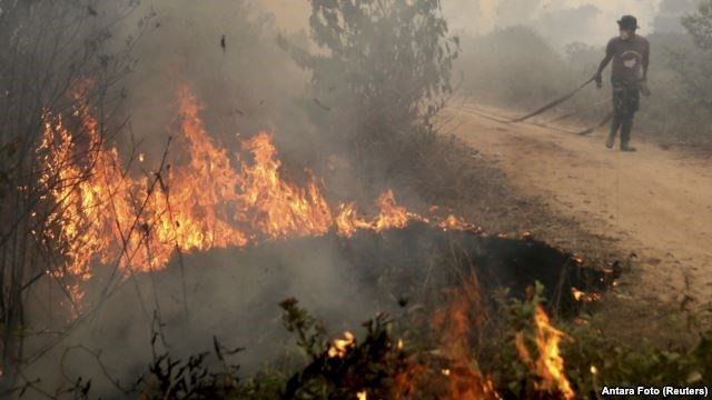 Contaminación atmosférica en Indonesia se expande a Filipinas ảnh 1 Contaminación atmosférica en Indonesia se expande a Filipinas ảnh 1