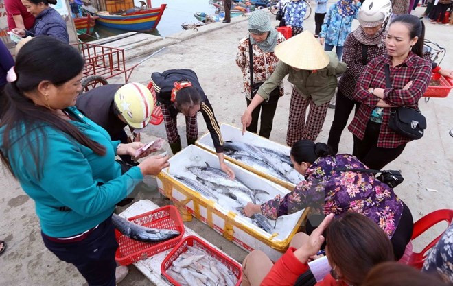 Vietnam despliega medidas urgentes en respuesta a advertencia de EC sobre pesca ilegal ảnh 1 Vietnam despliega medidas urgentes en respuesta a advertencia de EC sobre pesca ilegal ảnh 1