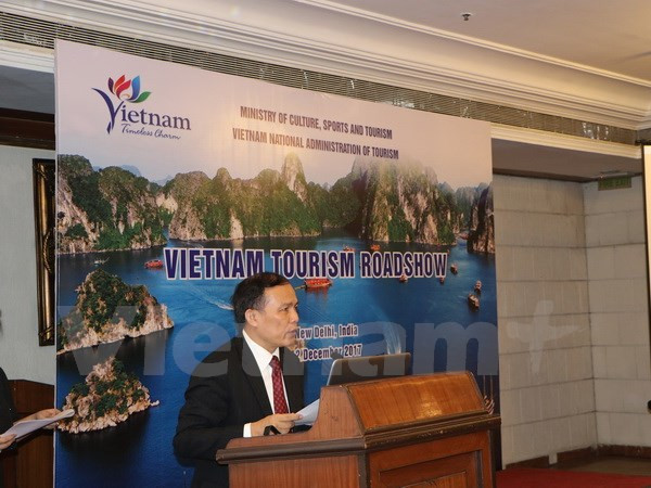 Vietnam promueve el turismo en India ảnh 1 Vietnam promueve el turismo en India ảnh 1