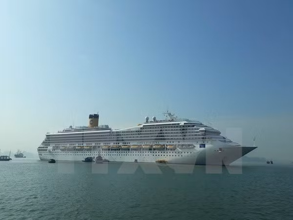 Singapur y la India buscan establecer rutas de crucero ảnh 1