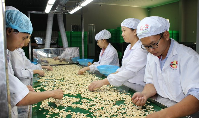 Vietnam busca integrarse de manera más eficiente a cadenas globales de valor agrícola ảnh 1 Vietnam busca integrarse de manera más eficiente a cadenas globales de valor agrícola ảnh 1