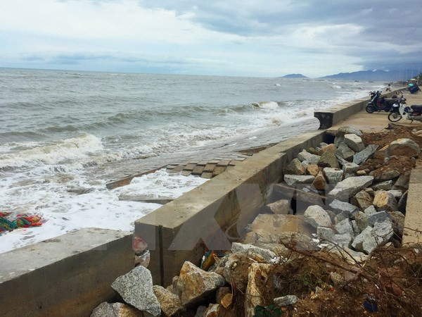 Vietnam busca fortalecer la cooperación para el desarrollo sostenible ảnh 1 Vietnam busca fortalecer la cooperación para el desarrollo sostenible ảnh 1