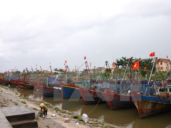 Fondo Kuwaití financiará proyecto de adaptación al cambio climático en Vietnam ảnh 1