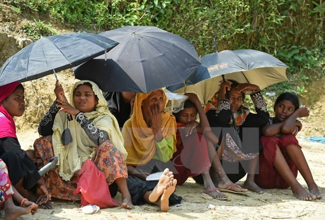 Myanmar establece comisión para realizar recomendaciones sobre Rakhine ảnh 1 Myanmar establece comisión para realizar recomendaciones sobre Rakhine ảnh 1