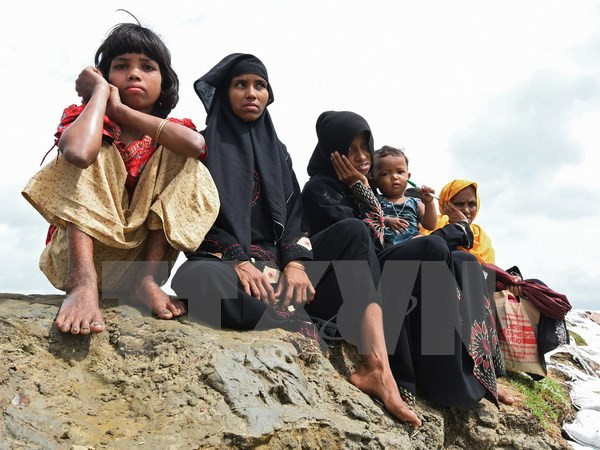 Ejército de Myanmar investiga una fosa común en estado de Rakhine ảnh 1