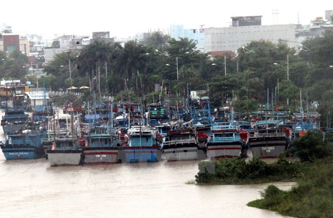 Sube a 41 el saldo mortal del tifón Kai-Tak en Filipinas ảnh 1