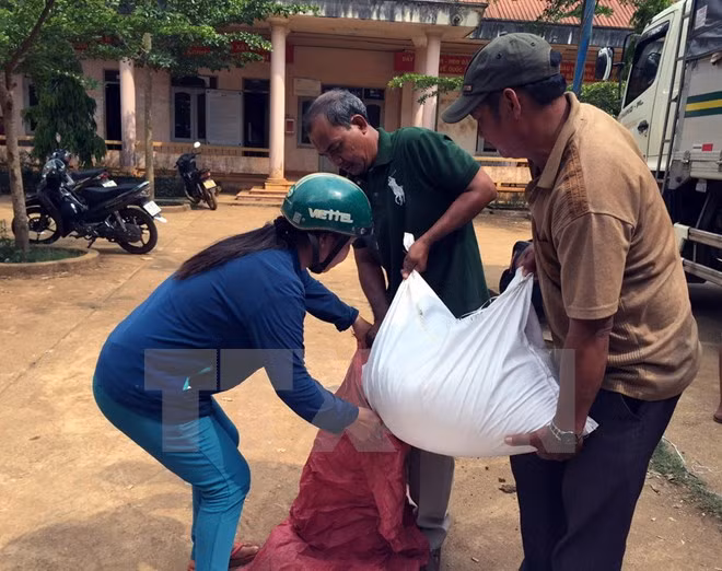 Vietnam se acerca a la eliminación del hambre ảnh 1 Vietnam se acerca a la eliminación del hambre ảnh 1