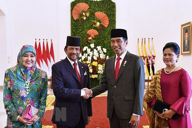 Indonesia y Brunei por fortalecer cooperación multifacética ảnh 1 Indonesia y Brunei por fortalecer cooperación multifacética ảnh 1