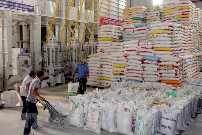 Provincias centrales por producir dos millones 500 mil toneladas de arroz ảnh 1 Provincias centrales por producir dos millones 500 mil toneladas de arroz ảnh 1