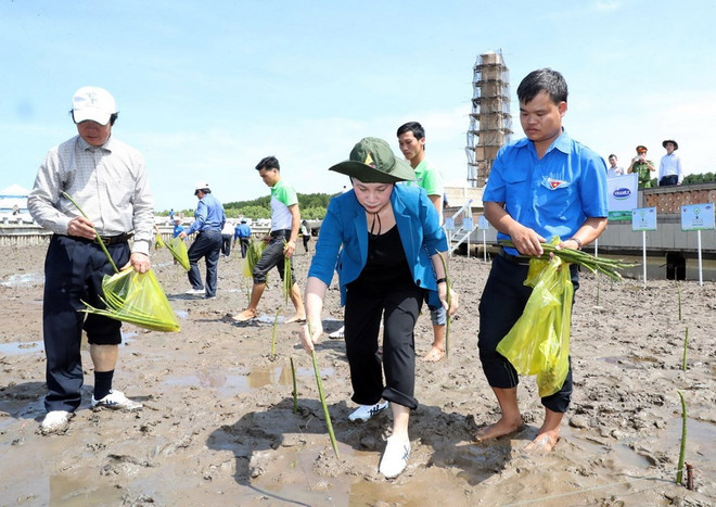 Plantan miles de árboles en extremo sur de Vietnam para enfrentar cambio climático ảnh 1 Plantan miles de árboles en extremo sur de Vietnam para enfrentar cambio climático ảnh 1