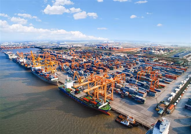 Vietnam busca desarrollar flota de transporte marítimo internacional ảnh 1