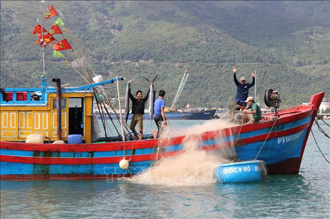 Comunidad pesquera vietnamita se esmera en combatir la pesca ilegal ảnh 2 Comunidad pesquera vietnamita se esmera en combatir la pesca ilegal ảnh 2