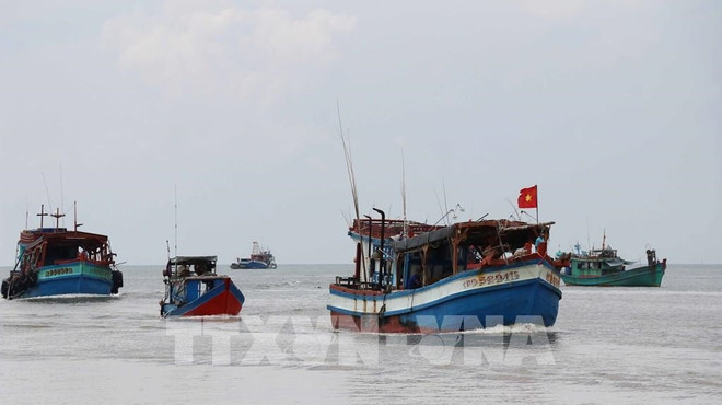 Comunidad pesquera vietnamita se esmera en combatir la pesca ilegal ảnh 1