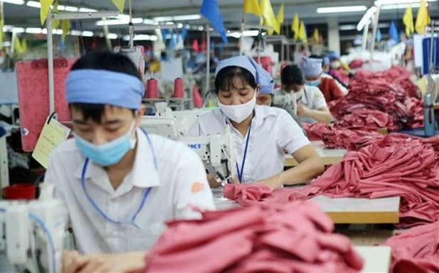 Empresas vietnamitas se adaptan a las condiciones del CPTPP ảnh 2 Empresas vietnamitas se adaptan a las condiciones del CPTPP ảnh 2