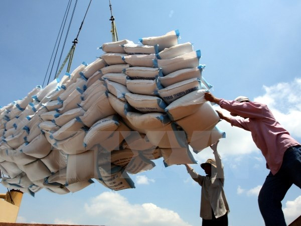 Vietnam crea marca nacional del arroz para elevar su valor de exportación ảnh 1 Vietnam crea marca nacional del arroz para elevar su valor de exportación ảnh 1