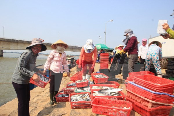 Vietnam e Indonesia impulsan cooperación en el sector pesquero ảnh 1 Vietnam e Indonesia impulsan cooperación en el sector pesquero ảnh 1