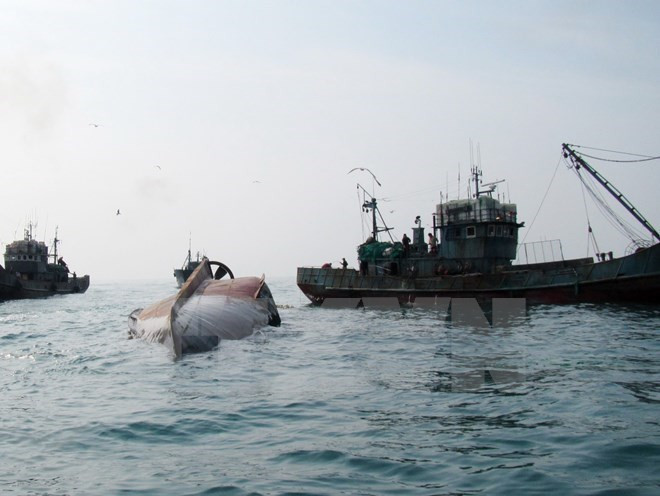 Malasia considera aplicación de medidas drásticas contra pesca ilegal ảnh 1 Malasia considera aplicación de medidas drásticas contra pesca ilegal ảnh 1