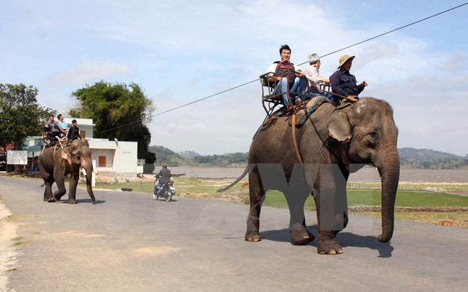 Lago Lak, destino turístico imprescindible en Dak Lak ảnh 1