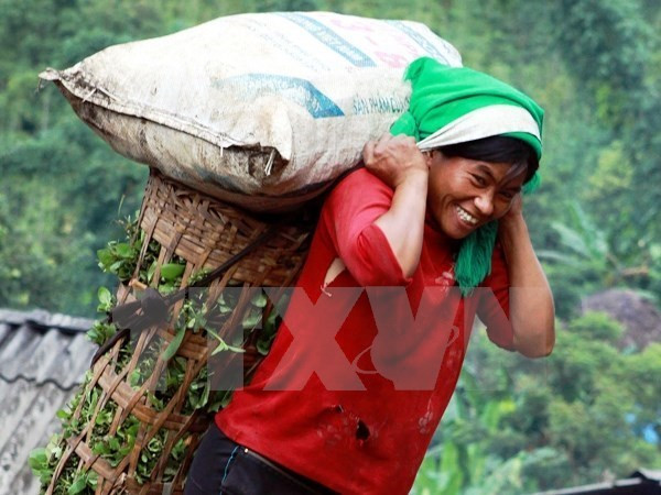 PNUD ayuda a Vietnam para eliminar discriminación de género ảnh 1 PNUD ayuda a Vietnam para eliminar discriminación de género ảnh 1