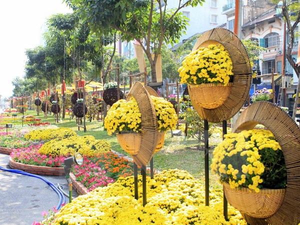 Recorrido de flores embellecerá Ciudad Ho Chi Minh en Año Nuevo Lunar ảnh 1 Recorrido de flores embellecerá Ciudad Ho Chi Minh en Año Nuevo Lunar ảnh 1