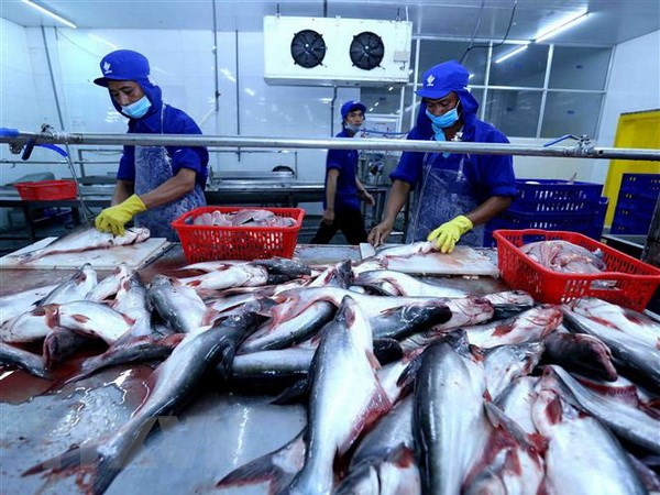 Fortalece Vietnam su lucha contra la pesca ilegal ảnh 1 Fortalece Vietnam su lucha contra la pesca ilegal ảnh 1