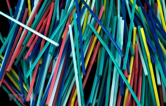 Impulsan programa en centros docentes de Vietnam contra los plásticos desechables ảnh 1