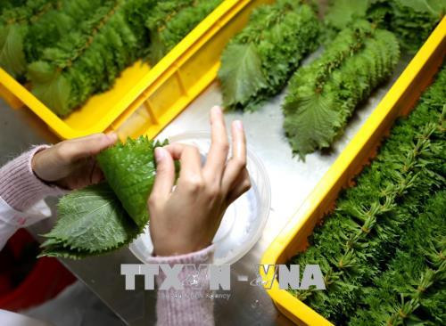 Recomiendan a turistas vietnamitas que no lleven alimentos frescos a Japón ảnh 1 Recomiendan a turistas vietnamitas que no lleven alimentos frescos a Japón ảnh 1
