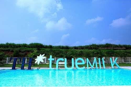 Premier vietnamita atestigua firma de acuerdo entre empresas nacional y china ảnh 1 Premier vietnamita atestigua firma de acuerdo entre empresas nacional y china ảnh 1