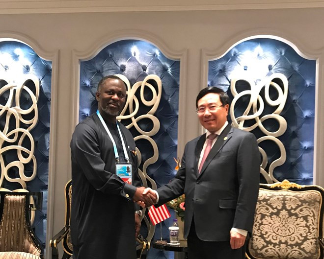 Vietnam potencia cooperación con países africanos ảnh 1 Vietnam potencia cooperación con países africanos ảnh 1