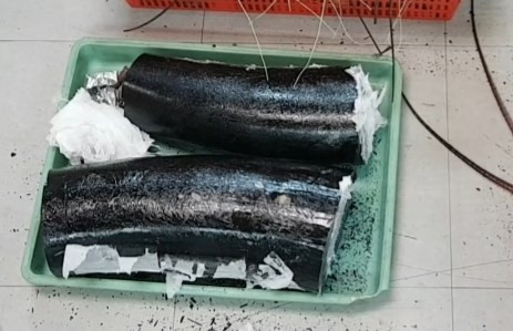 Arrestan en Vietnam a traficante de colmillos de elefante ảnh 1