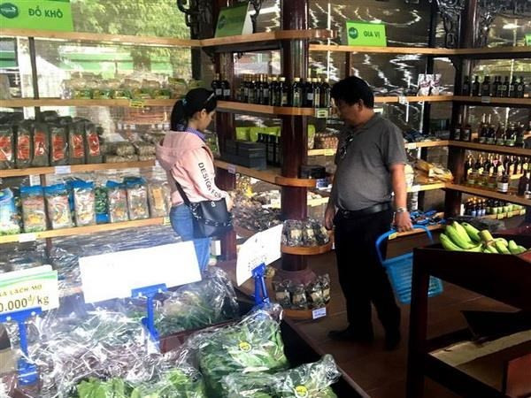 Promoverán productos vietnamitas en Sudáfrica ảnh 1