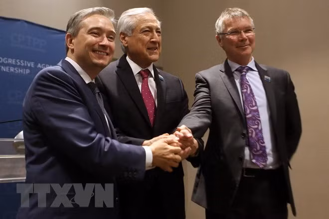 Canadá, Chile y Nueva Zelanda impulsan cooperación tras firma del CPTPP ảnh 1 Canadá, Chile y Nueva Zelanda impulsan cooperación tras firma del CPTPP ảnh 1
