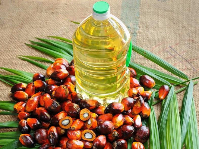 Producción de aceite de palma de Malasia aumentará en 2018 ảnh 1 Producción de aceite de palma de Malasia aumentará en 2018 ảnh 1