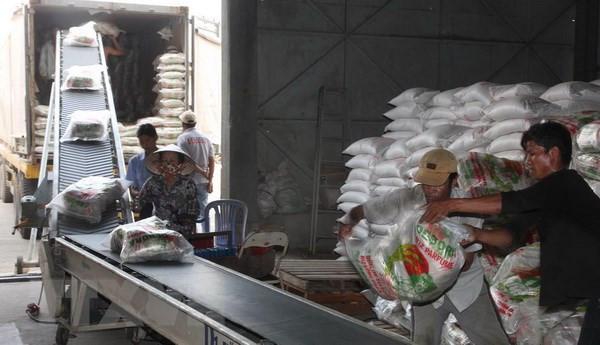 Vietnam aspira a ingresar fondo multimillonario por exportación de arroz en 2018 ảnh 1 Vietnam aspira a ingresar fondo multimillonario por exportación de arroz en 2018 ảnh 1