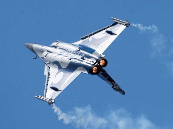 Límites de aceite de palma de UE obstaculizan acuerdo de aviones Malasia- Francia ảnh 1 Límites de aceite de palma de UE obstaculizan acuerdo de aviones Malasia- Francia ảnh 1