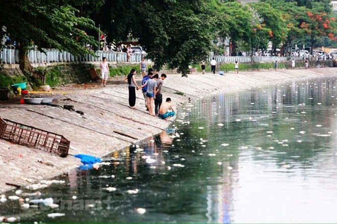 Experto urge la elaboración en Vietnam de una ley de control de contaminación del agua ảnh 1