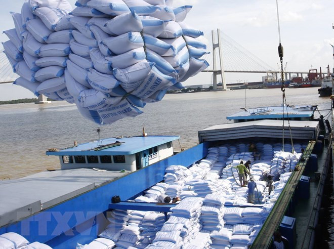 Vietnam por exportar 6,5 millones de toneladas de arroz en 2018 ảnh 1 Vietnam por exportar 6,5 millones de toneladas de arroz en 2018 ảnh 1
