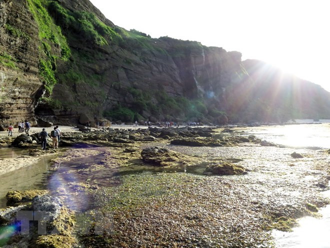 Fundan Subcomisión coordinadora de Vietnam de programas geológicos regionales ảnh 1 Fundan Subcomisión coordinadora de Vietnam de programas geológicos regionales ảnh 1